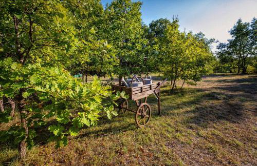 L'Ecrin de Bois - Maison d'architecte avec Spa sur un grand terrain arboré - Foto 31