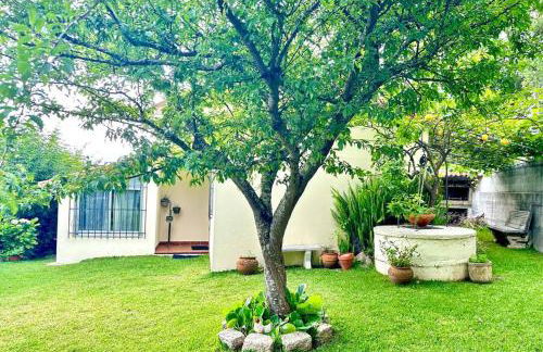 As Barrocas - Foto 10