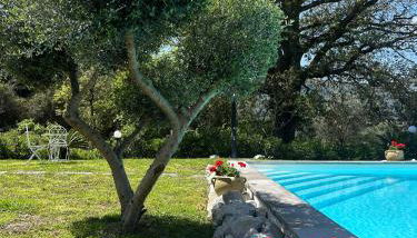 Villa Grazia - Foto 3, Garden