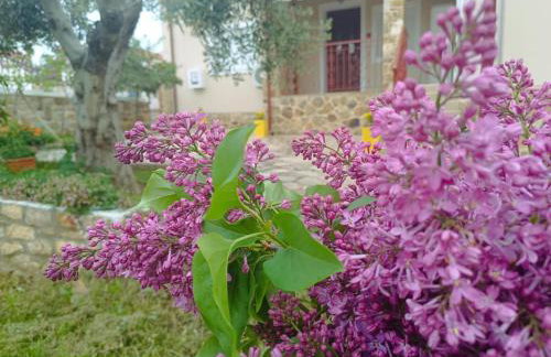 Grandmas Cottage - Photo 5