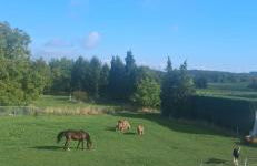 Ferienhaus MAWO 4 Sterne - Foto 17