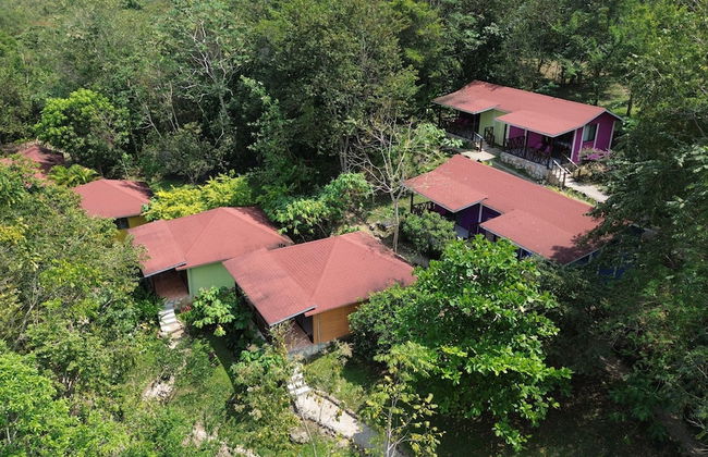 Winíka Alterra - Foto 17