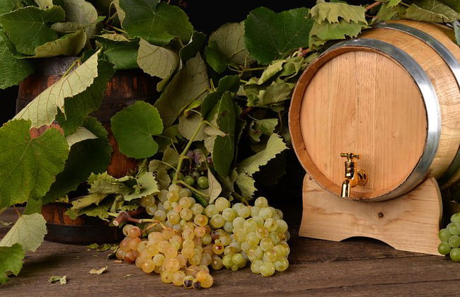 Excursión privada de un día y almuerzo: Degustación de queso parmesano, vino y vinagre - Foto 13