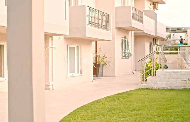 Water Lily - Foto 41