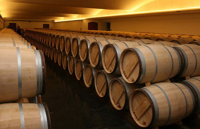 Excursão a Châteauneuf-du-Pape - Foto 2