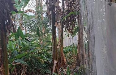 Imersão cascata - Foto 12