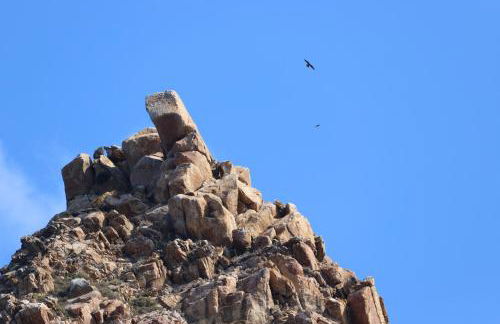 Open Suite Cobalto - Foto 72