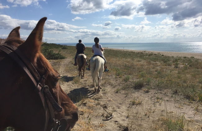 Agriturismo La Stornara - Foto 55