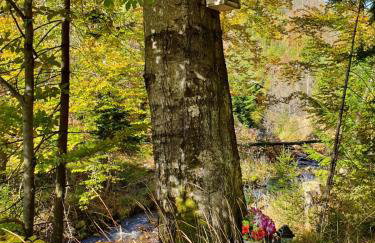 Domek pod Kłódką - Foto 29