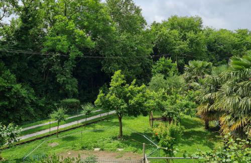 Il Gufetto - Photo 13