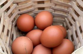 La Quintana de Figares - Foto 11