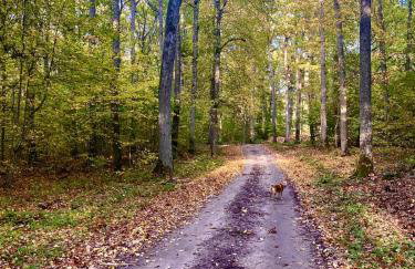 Holiday Let In Mazury !! - Foto 25