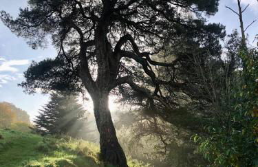 The Architect's Mews - Foto 21