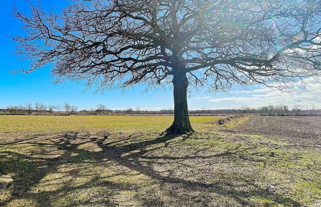 6 Person Holiday Home in Farjestaden-by Traum - Foto 16