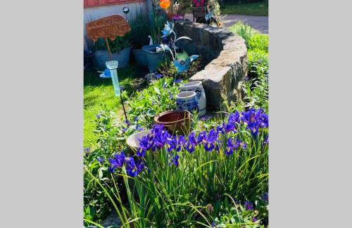 Irenes Tinyhouse - Foto 28