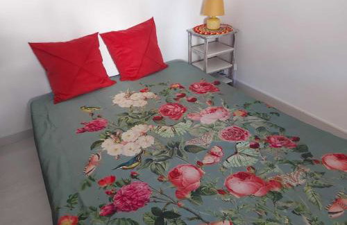Large cozy studio in Castellane /Gorges du Verdon - Foto 1
