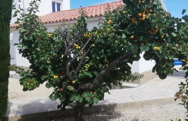 Villa voor 8 personen met zwembad - Foto 44
