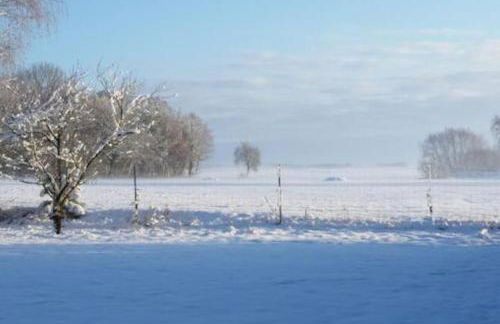 Hof Heideland 2 - Fenster zum Hof - Foto 9