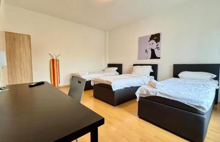 Komfortable Apartments Neumünster Zentrum perfekt für Beruf & Handwerk - Photo 72