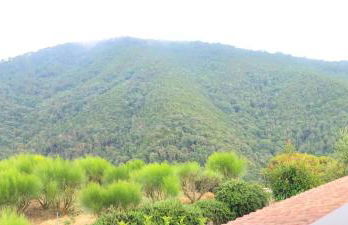 Antico Principato di Seborga - Foto 67