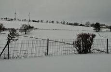 Eifel Panorama Appartement - Foto 3