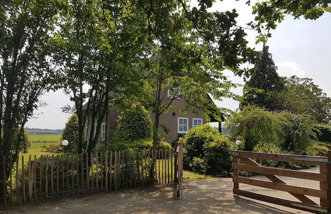 Forest Cottage Near Leenderbos - Foto 40