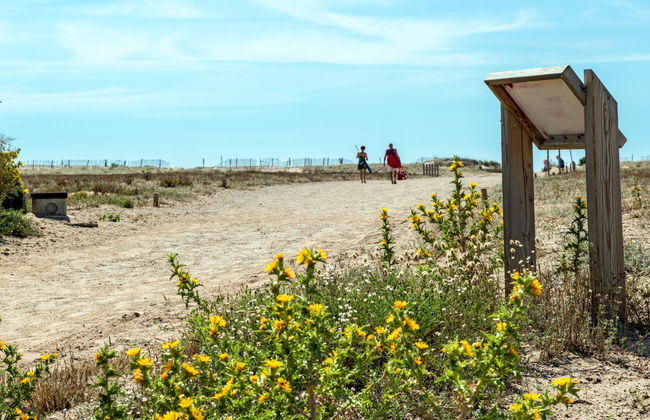 Domaine Les Mûriers - Foto 40
