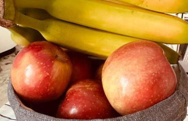 Single Family House in Arlington - Photo 4