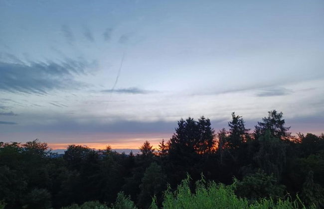 Small Apartment in Hesse With Terrace and Garden - Foto 37