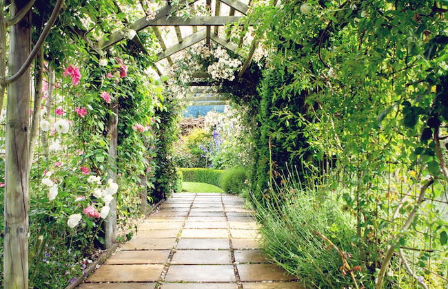 Marchmont Gardens - Photo 31