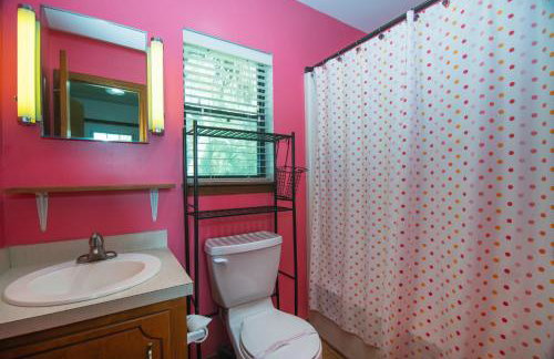 Green Parrot - Foto 23