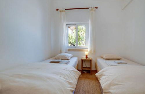 Quinta Coelho - Foto 40