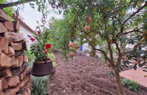 Casa Vacanze Al Parco - Foto 18