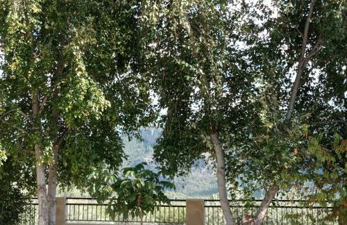 El Valle de Yeste - Foto 14