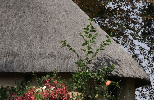 Ardmore Guest Farm - Photo 4