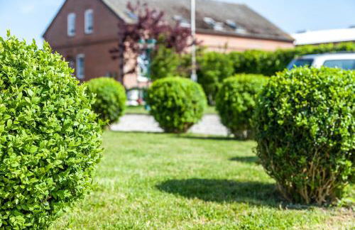 Austernfischer - Foto 13