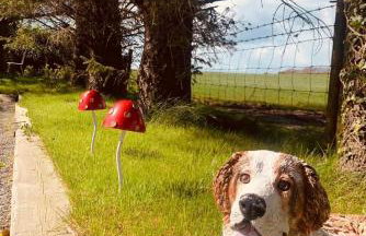 Olivia-Leigh Cottage - Foto 73