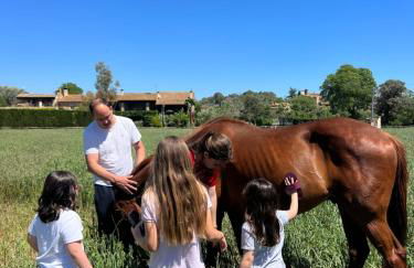 Mas Vermell - Foto 37