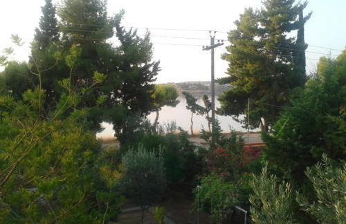 Elea Guesthouse - Photo 40