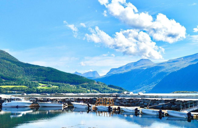 Holiday Home in EidsvÃ¥g - Foto 28