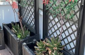 Milano Canal Apartments - Photo 80