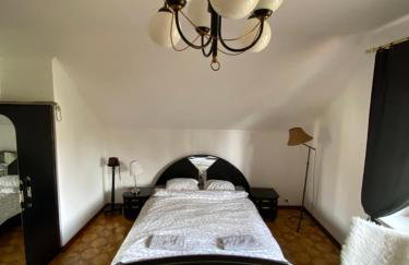 Leśny Czar - Foto 13