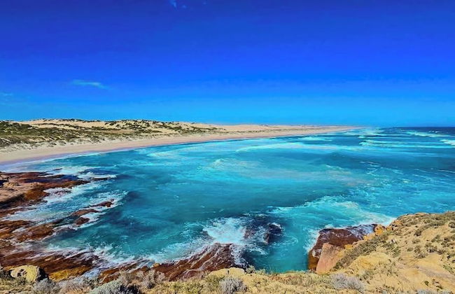 Coodlie Park Eco Retreat - Foto 27