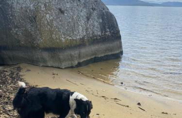 Chalé na beira da lagoa com vista - Photo 39