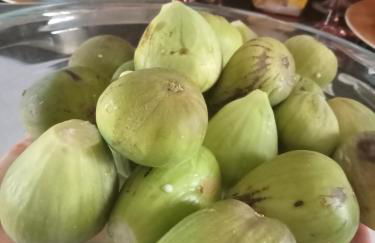 L'insolite et médièvale Tour Yselda - Foto 41