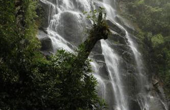 Stay in Itatiaia - Foto 58