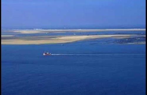 DOMAINE D'ONCE - Foto 21