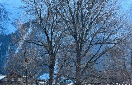 Ferienwohnung Seidl Wohnung Kontrabass - Foto 6