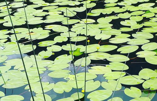 Ledro Lake Suites - Foto 80