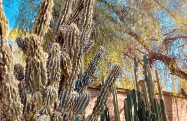 La Casita del Cactus - Casa de campo con piscina - Photo 17